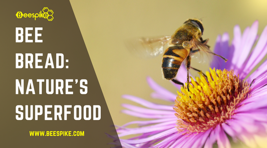 Bee Bread: Nature's Superfood Secret You Can't Afford to Miss