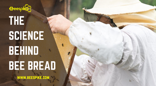The Science Behind Bee Bread: Unlocking Nature's Nutritional Treasure